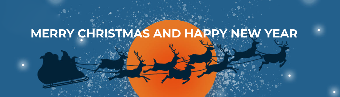 2021 Merry Christmas and a Happy New Year